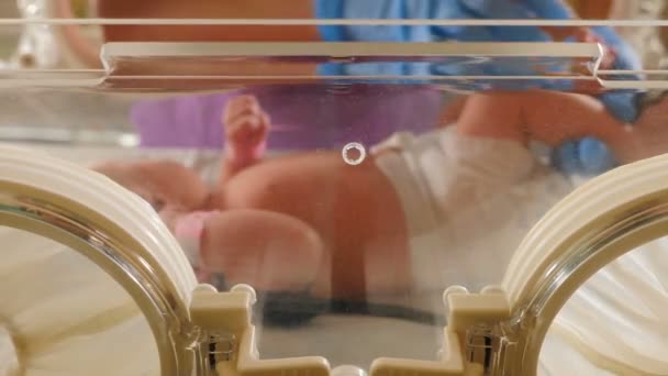 Младенец в медицинской кувеузе в родильном доме. выстрел сквозь стекло. Новорожденный жизнеобеспечение. интенсивная больничная терапия: CCU, ICU, ITU. недоношенный ребенок в короткой майке. 4k — стоковое видео