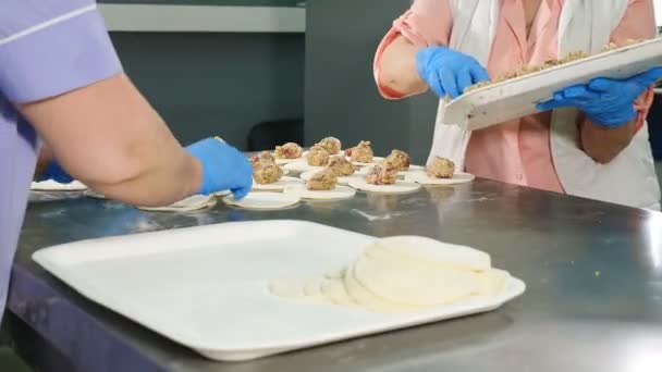 Proceso de preparación delicioso khinkali georgiano. Vídeo de comida. De cerca. Jefes haciendo albóndigas. concepto de trabajo manual. 4k — Vídeos de Stock