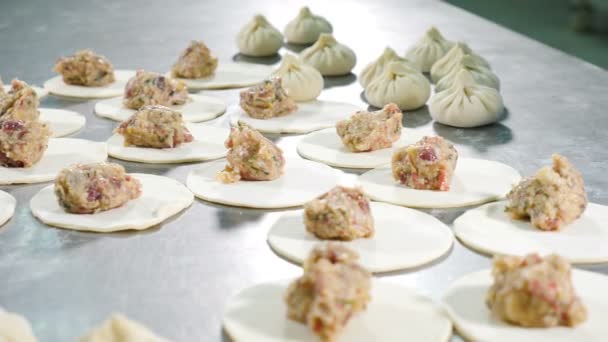 Panoramic view. Chief cook making meat dumplings. Close up. Food video. Hands in blue gloves. Preparing Dumplings on metal surface. Chef hands form dough. 4k — Stock Video