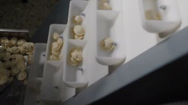 Köfte Fabrikasında T Otomatik Makine Üretim Sürecinin Yakın Çekim Görüntüleri. Taze Ham Pelmeni Taşıma Bandı Üzerinde Hareketli. Gıda Fabrikası'nda Endüstriyel Makine İşletme. 4k