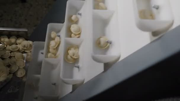 Riprese ravvicinate del processo di produzione automatica della macchina presso la fabbrica di gnocchi. Pelmeni crudo fresco che si muove sul nastro trasportatore. Macchinari industriali che operano presso la fabbrica alimentare. 4k — Video Stock