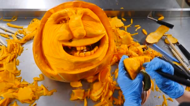 Pessoa irreconhecível Esculpe a abóbora para a celebração do Dia das Bruxas. 4K. Mãos em luvas azuis cortando vegetais laranja . — Vídeo de Stock