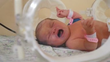 Hastanede kuvözde ağlayan hasta bir bebeğin portresi. Icu sensörleri ve yeni doğan bacaklara bağlı tüpler. Hayat kurtarıyorum. 4K 'da çekilmiş.