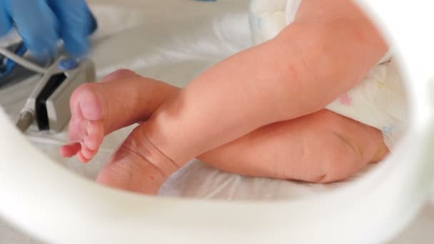 Koraszülött újszülött kislány lábadozik az intenzív osztályon. Mozgó lábakat lezárni. Koraszülött újszülött Icuban. Szülészeti klinika. Életmentő koncepció. 4k-ben lőtték le. — Stock videók