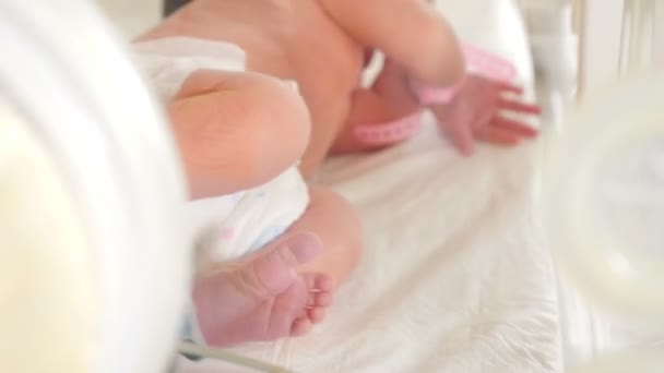 Neonato in incubatrice, terapia ospedaliera intensiva: CCU, terapia intensiva, ITU. Il piccolo bambino muove vigorosamente le dita, il piede e la gamba., Primo piano. Girato in 4k — Video Stock