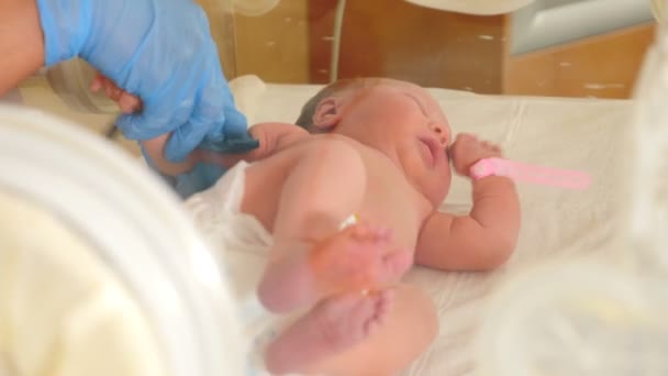 L'infermiera controlla un bambino in un'incubatrice, da vicino. Un neonato sdraiato in una culla in un ospedale. Girato in 4k — Video Stock