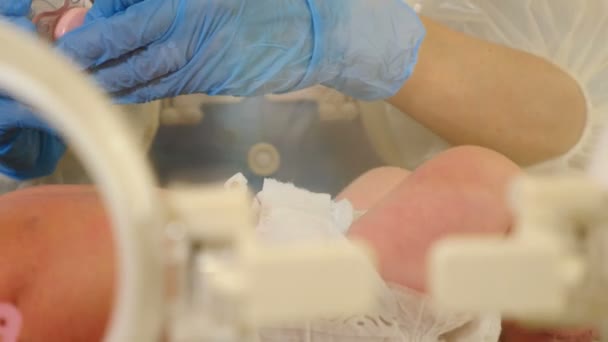 갓 태어난 아기가 현대 산부인과 병원의 재활용 장소에서 울고 있는 모습. 진정을 빠르게 하고 자주 호흡하는 4k 비디오를 보기 위해 여성 의사 가손으로 젖꼭지를 어린이에게 준다 — 비디오