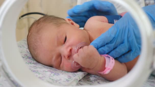 Bebé recién nacido llorando en resucitación Lugar de la clínica de maternidad moderna. Médico femenino manos dando chupete a un niño para calmar la respiración rápida y frecuente Primer plano. Vídeo 4k — Vídeos de Stock