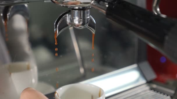 Making fresh coffee beverage going out from coffee espresso machine. Slow motion food video. Espresso coffee being brewed by automatic machine flowing into cup at bar or cafe. Full hd — Stock Video