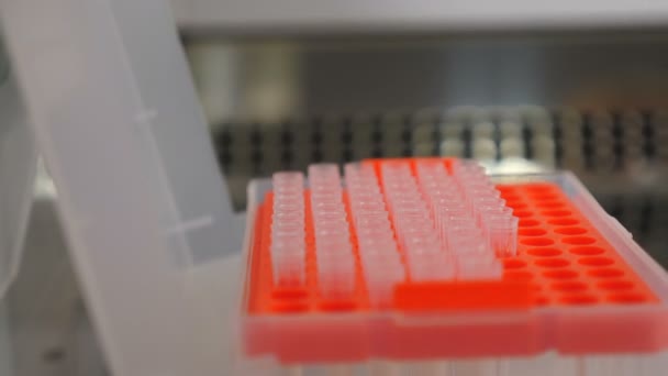 Close-up of lab equipment for microbiological research, specialist taking nozzle on pipette out from plastic box while working in scientific laboratory. Researcher works with pipette. 4 k — Stock Video