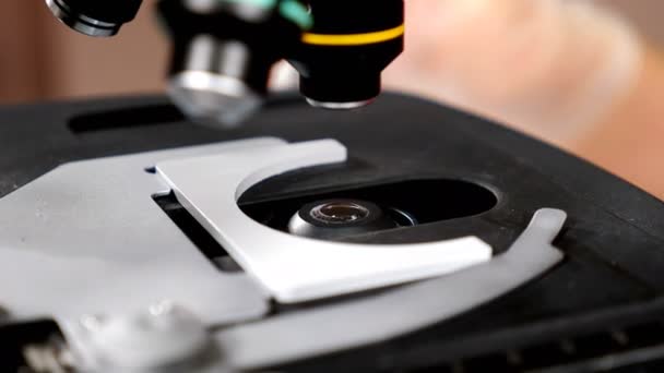 Sztuczne zapłodnienie, leczenie bezpłodności. Specjalne szkło z próbką spermy i nasienia jest badane mikroskopem. Zbliżenie. 4 tys. strzałów — Wideo stockowe
