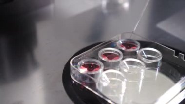 Aile planlaması kliniğinin modern bilimsel laboratuvarında embriyoların dondurulması. Laboratuvar manipülasyonu sırasında pipeti kullanan ürebilimci bir doktor. Doktor biyo-materyali mataradan alıyor. 4 bin.