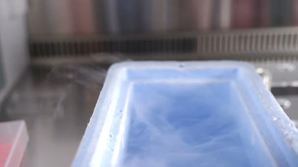 Close-up de reservatório com nitrogênio líquido durante o procedimento de congelamento do óvulo crioprotegido. Embriologista usando vitrificação para proteger o ovo e aumentar a taxa de sobrevivência durante o descongelamento. 4 k vídeo — Vídeo de Stock