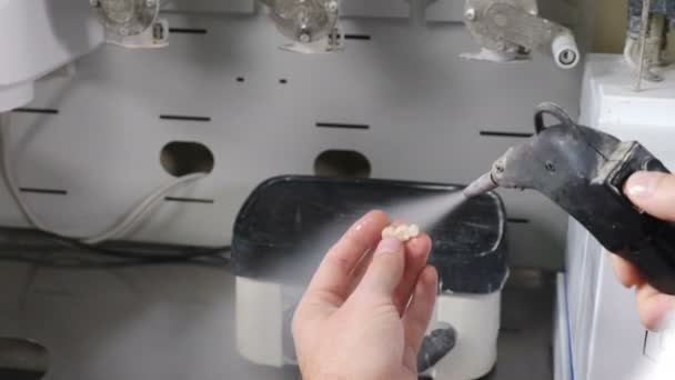 Prótese dentária, dente artificial, prótese, mãos trabalhando na dentadura soprando com água. Técnico dentário trabalhando com coroas de cerâmica em laboratório de clínica odontológica moderna. 4 k vídeo — Vídeo de Stock