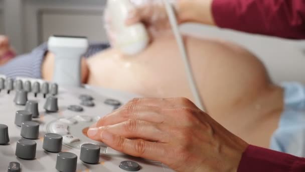 Dokter tangan Transduser gerakan pada perut Belly Disemprot dengan gel. Dokter membuat Ultrasound, Sonogram Prosedur untuk Wanita hamil. Close-up. Proses ultrasonografi. 4 k video — Stok Video