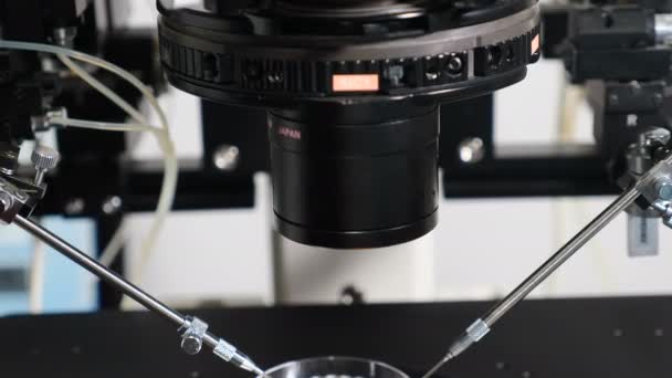 Modern microbiology equipment. Close-up of micromanipulator needles for icsi ivf procedure. Artificial insemination in scientific laboratory under microscope. 4 k video — Stock Video