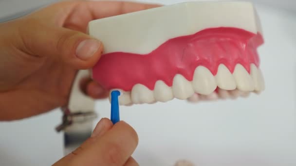Dentiste montre sur le modèle de mâchoire comment nettoyer les dents avec une brosse correctement, gros plan. Hygiène buccale dentaire. Hygiéniste dentaire enseignant à se brosser les dents en clinique dentaire. Vidéo 4 k — Video
