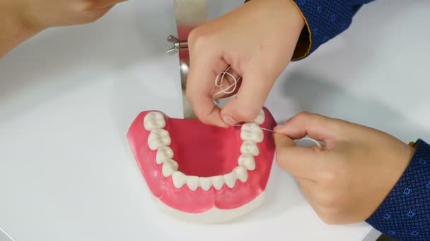Ortodontista che mostra come pulire i denti con filo interdentale e modello di mascella. Mani che tengono i denti filo di pulizia. Denti interdentale. primo piano. Igiene dentale orale. 4K video — Video Stock
