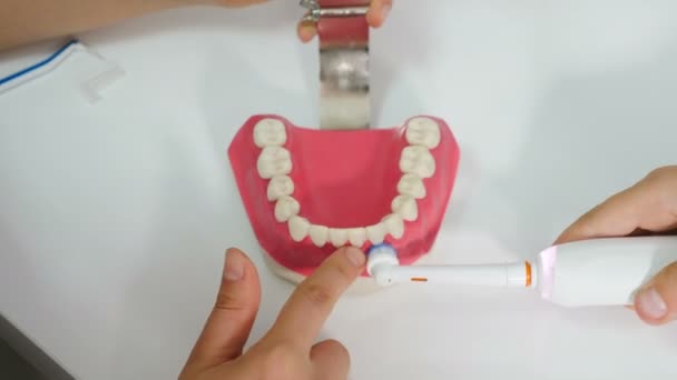 Orthodontiste montrant comment nettoyer les dents à l'aide d'une brosse à dents électrique et d'un modèle de mâchoire. Garçon essayant de nettoyer les dents avec une brosse. Gros plan. Hygiène buccale dentaire. Images de 4 k — Video