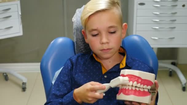 Concepto odontológico. Retrato de un lindo chico rubio sonriente sentado en una silla dental, posando, sosteniendo los dientes modelo de limpieza con cepillo. Niño limpiando mandíbula de dientes con cepillo de dientes. 4 k vídeo — Vídeo de stock