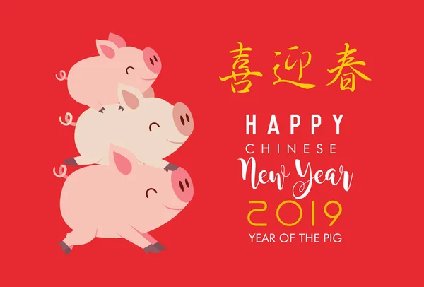 Chinese New Year 2019 Cute Little Pigs Translation Happy New — Stock Vector