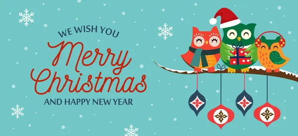 Merry Christmas New Year Card Christmas Background Cute Owls Vector — Stock Vector