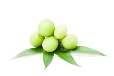 Kırpma yolunu ve yumuşak gölge beyaz zemin üzerine izole Erik Mango veya Marian Plum meyve (Bouea macrophylla Griffith)