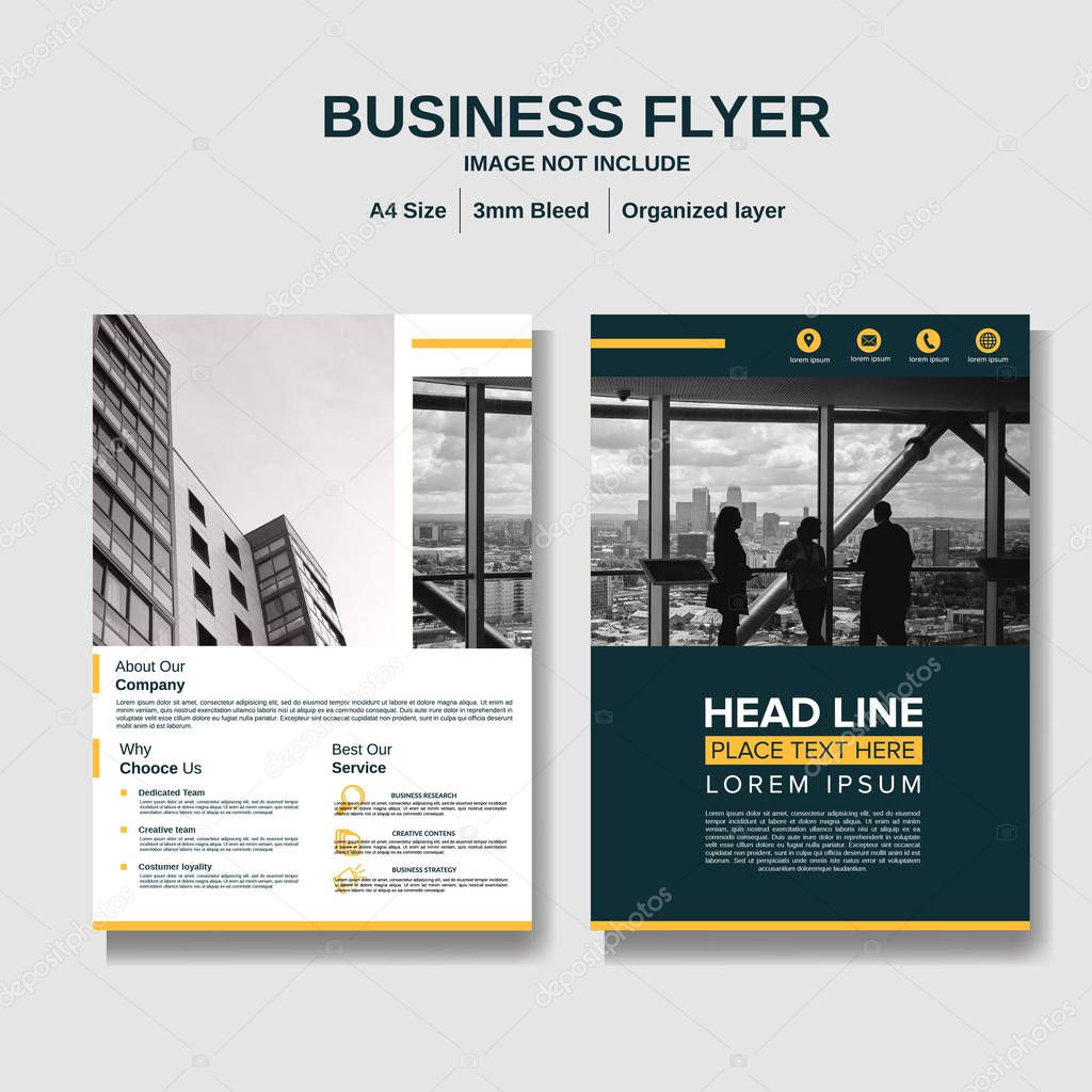 Business Brochure layout background