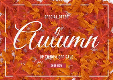 Sonbahar özel teklif arka plan vektör illüstrasyon bırakır