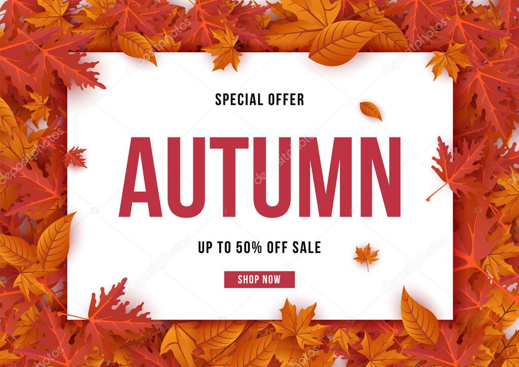 Autumn special offer leaves background vector illustration