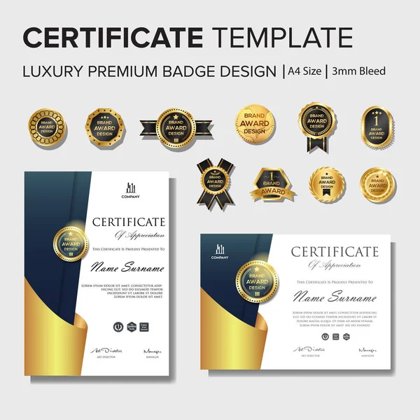 Professionell certifikat design med Badge — Stock vektor