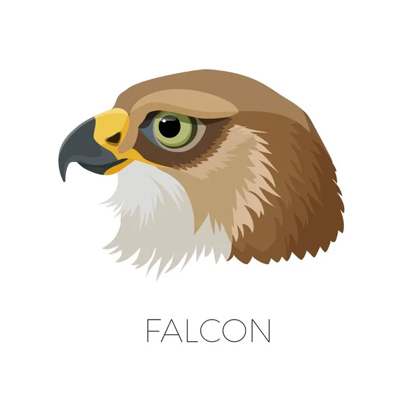 Falcon gorgeous profile with sharp beak and green eyes — Stock Vector