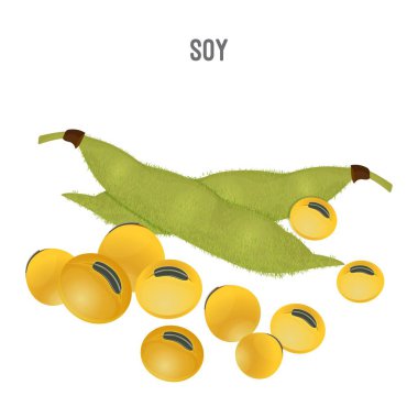 Vejetaryenler için et yerine olgun soya fasulyesi
