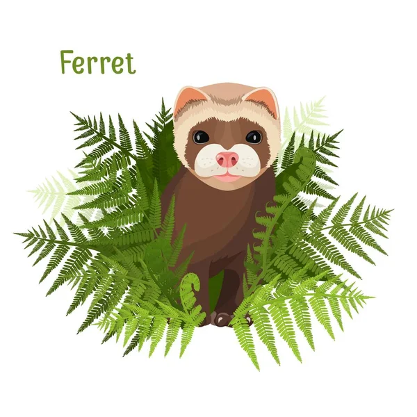 Ferret in green leaves of fern, polecat cute friendly animal — Stock Vector