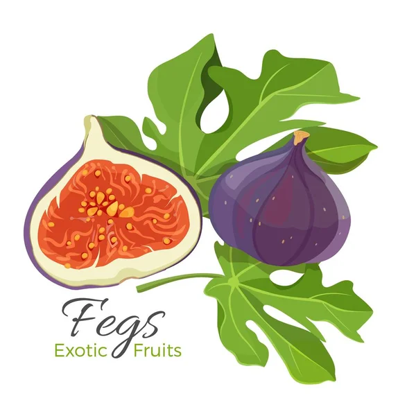 Ficus carica fichi frutti con foglie vettore illustrazione isolato — Vettoriale Stock