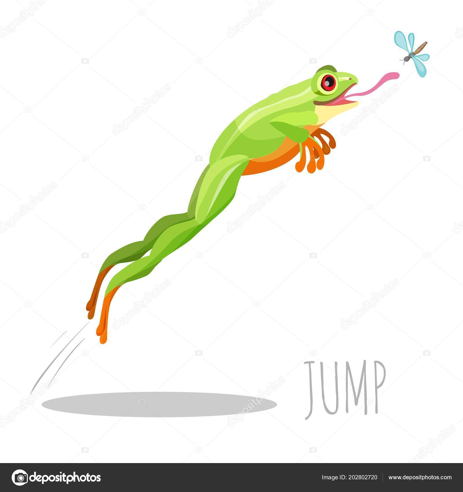 Bright Colored Frog Jumping Catch Fly Isolated White Icon Moving Stock  Vector Image by ©godruma #202802720