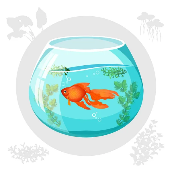 Gouden vissen in aquarium kom drijvende vector illustratie — Stockvector