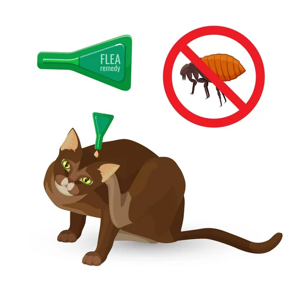 Flea remedy poster with headline and cat vector illustration — Stock Vector