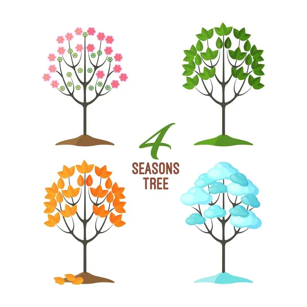 Coleção de árvores de 4 estações, plantas bonitas em clima diferente — Vetor de Stock