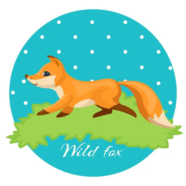 Wild fox, colorful illustration of night hunter on grass — Stock Vector