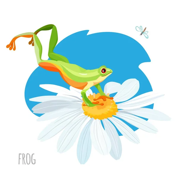 카모마일 꽃 벡터 스케치 드로잉에 점프 하는 개구리 — 스톡 벡터