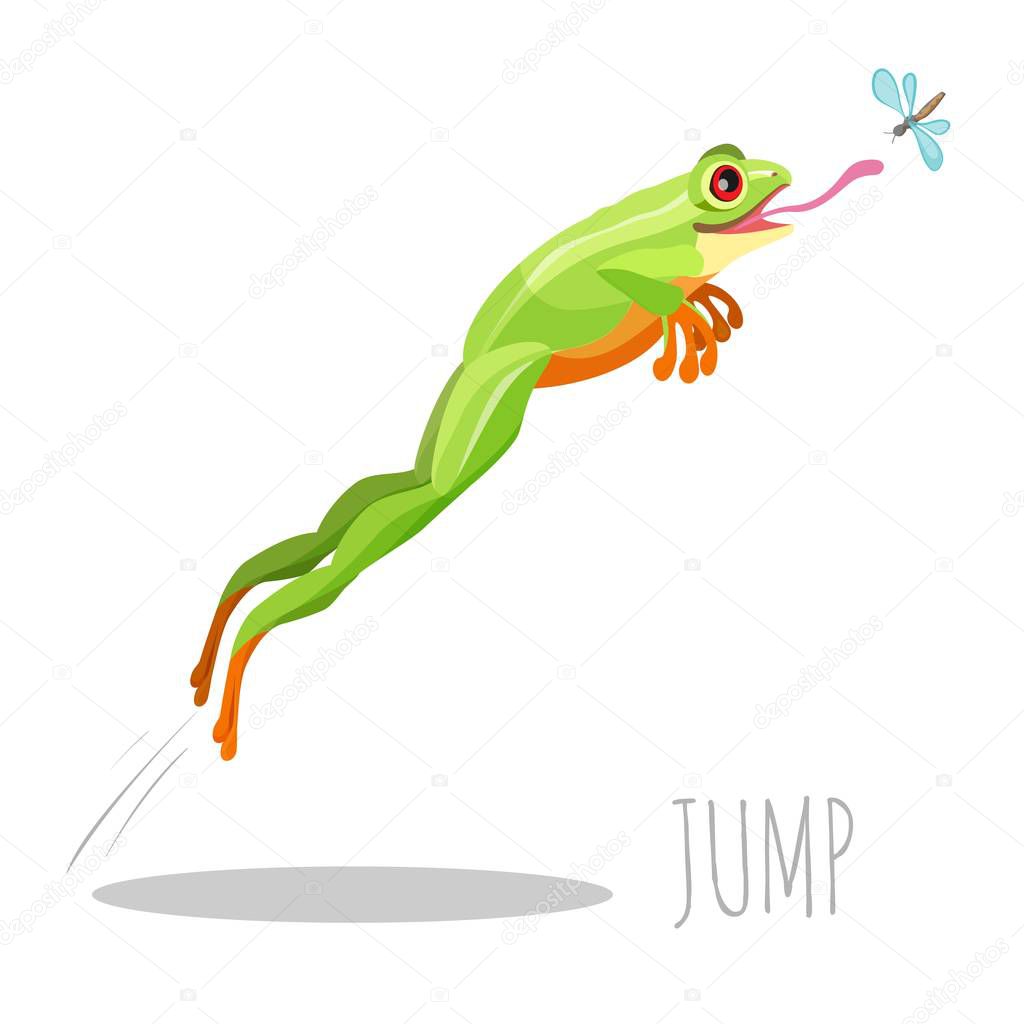 Bright colored frog jumping to catch fly isolated on white icon. Moving up toad with tongue sticking out and looking at insect, cartoon style vector
