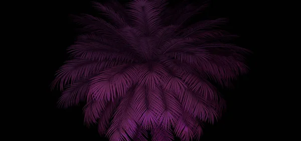 3d renderizado de hojas de palma de neón en el negro. Diseño de pancartas. Retroondas, ondas sintéticas, vaporondas ilustración . — Foto de Stock