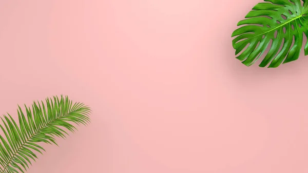 Hojas de palma realistas sobre Coral Fondo vivo para publicidad cosmética o ilustración de moda. Palma de plátano exótica marco tropical. Venta de diseño de banner. Renderizado 3D —  Fotos de Stock