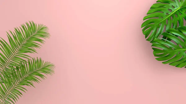 Hojas de palma realistas sobre Coral Fondo vivo para publicidad cosmética o ilustración de moda. Palma de plátano exótica marco tropical. Venta de diseño de banner. Renderizado 3D —  Fotos de Stock