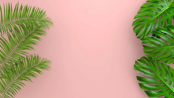 Hojas de palma realistas sobre Coral Fondo vivo para publicidad cosmética o ilustración de moda. Palma de plátano exótica marco tropical. Venta de diseño de banner. Renderizado 3D —  Fotos de Stock