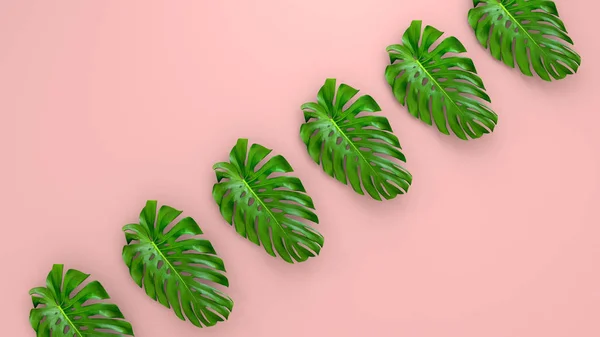 Hojas de palma realistas sobre Coral Fondo vivo para publicidad cosmética o ilustración de moda. Palma de plátano exótica marco tropical. Venta de diseño de banner. Renderizado 3D —  Fotos de Stock