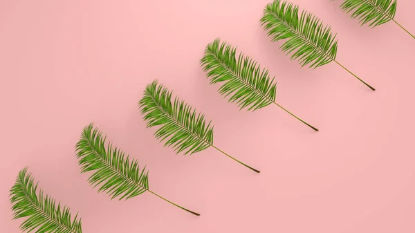 Realistic palm leaves on Coral Living background for cosmetic ad or fashion illustration. Tropical frame exotic banana palm. Sale banner design. 3D render — Stock Photo, Image