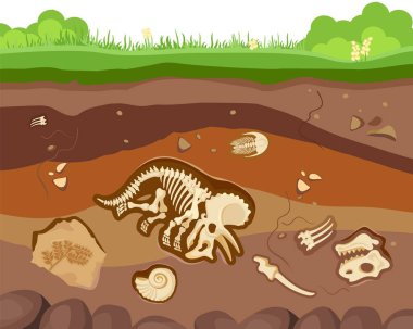 Gömülü fosil hayvanlar, dinozor, kabuklular ve kemikler ile toprak zemin katmanları. Vektör düz stil karikatür illüstrasyon