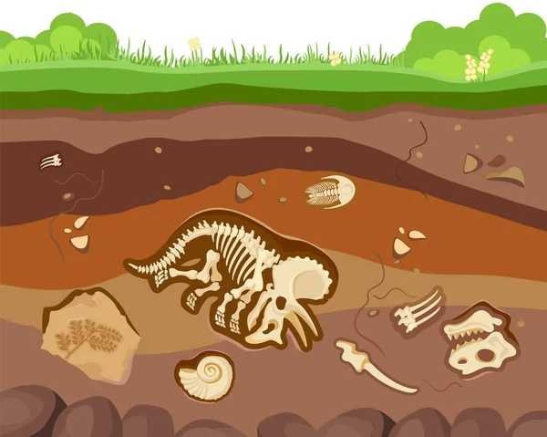Suele capas subterráneas con animales fósiles enterrados, dinosaurios, crustáceos y huesos. ilustración de dibujos animados de estilo plano vectorial — Archivo Imágenes Vectoriales